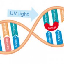 سیستم های ضدعفونی و استریلیزاسیون ماورای بنفش (UV)